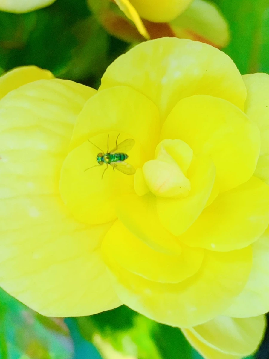 IMG_8325.jpg?type=w966