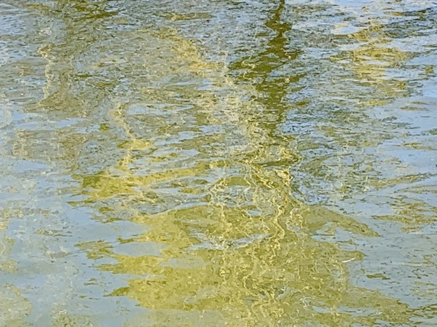 IMG_3097.jpg?type=w966