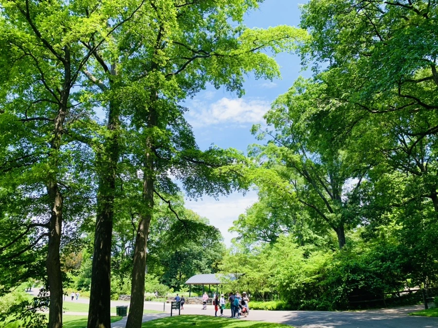 IMG_8441.jpg?type=w966