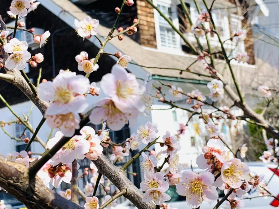 IMG_0977.jpg?type=w966