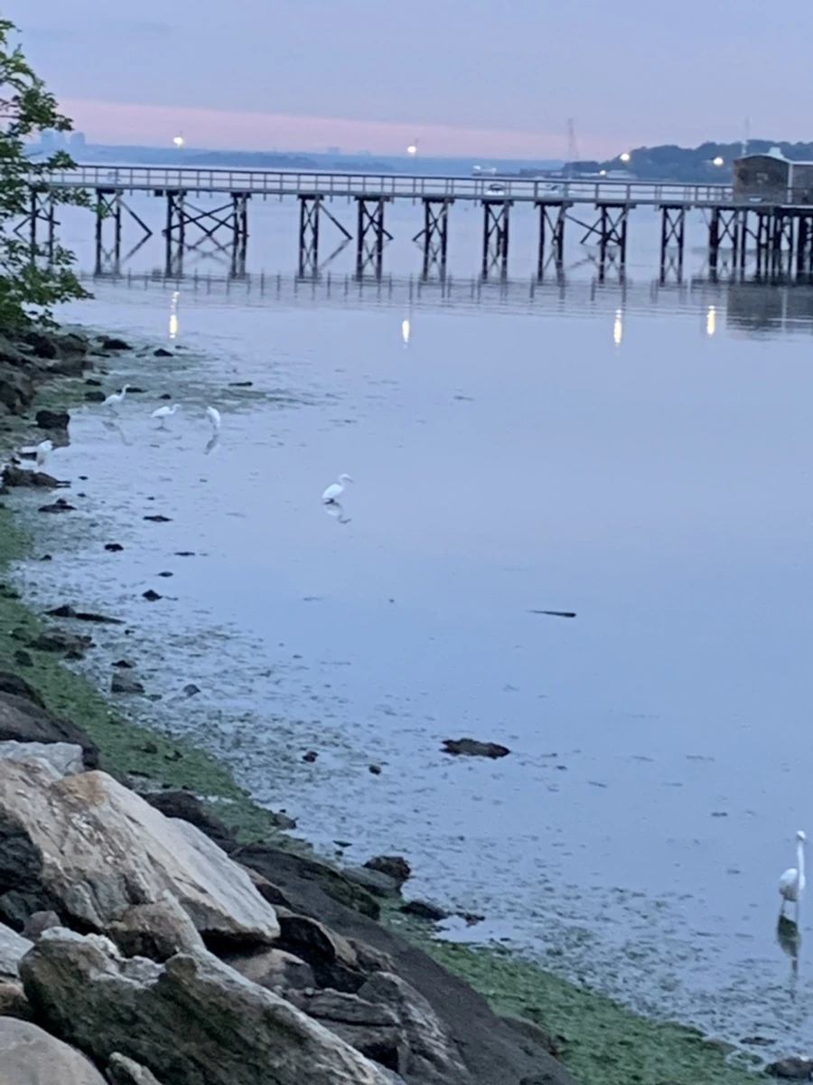 IMG_6265.jpg?type=w966