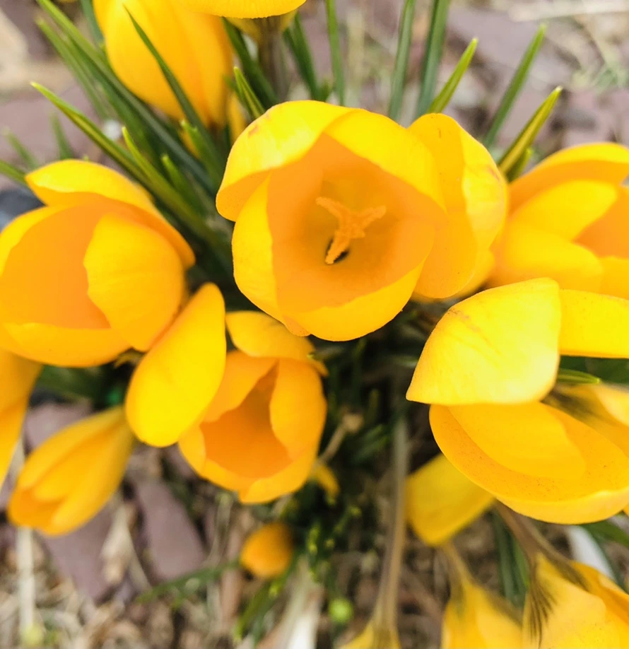 IMG_1662.jpg?type=w966