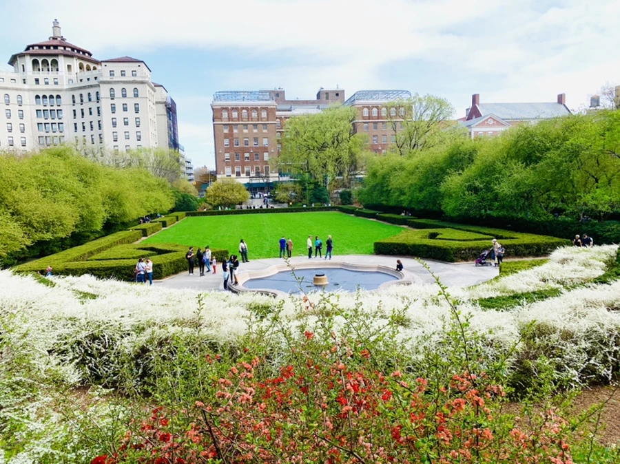 IMG_0401.jpg?type=w966