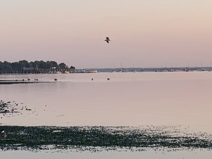 IMG_0159.jpg?type=w966