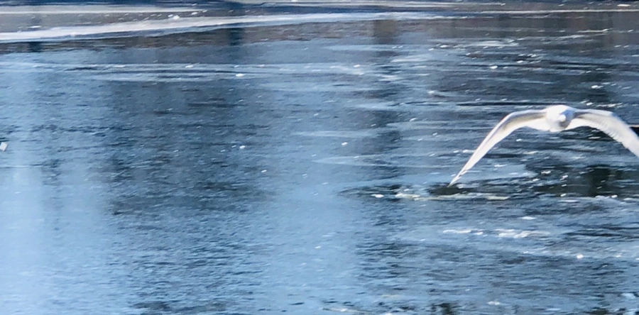 IMG_7990.jpg?type=w966