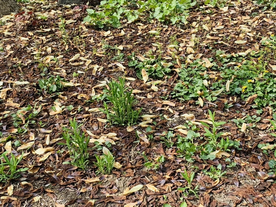 IMG_7010.jpg?type=w966