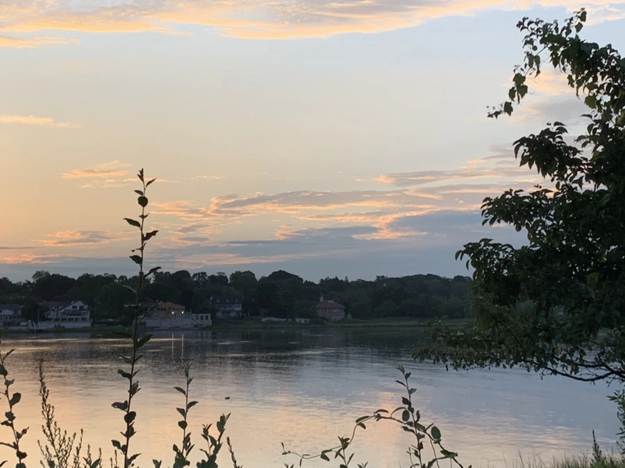 IMG_1226.jpg?type=w966