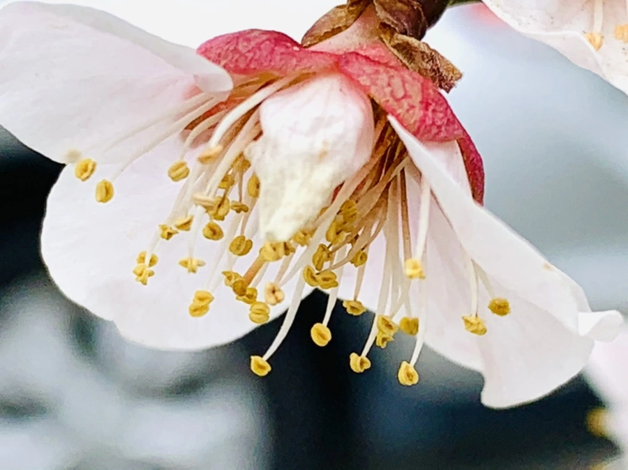 IMG_3665.jpg?type=w966