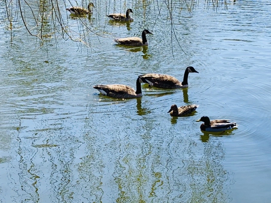 uU-uYYbb0oIKlXFIaHFhbR0TWYA