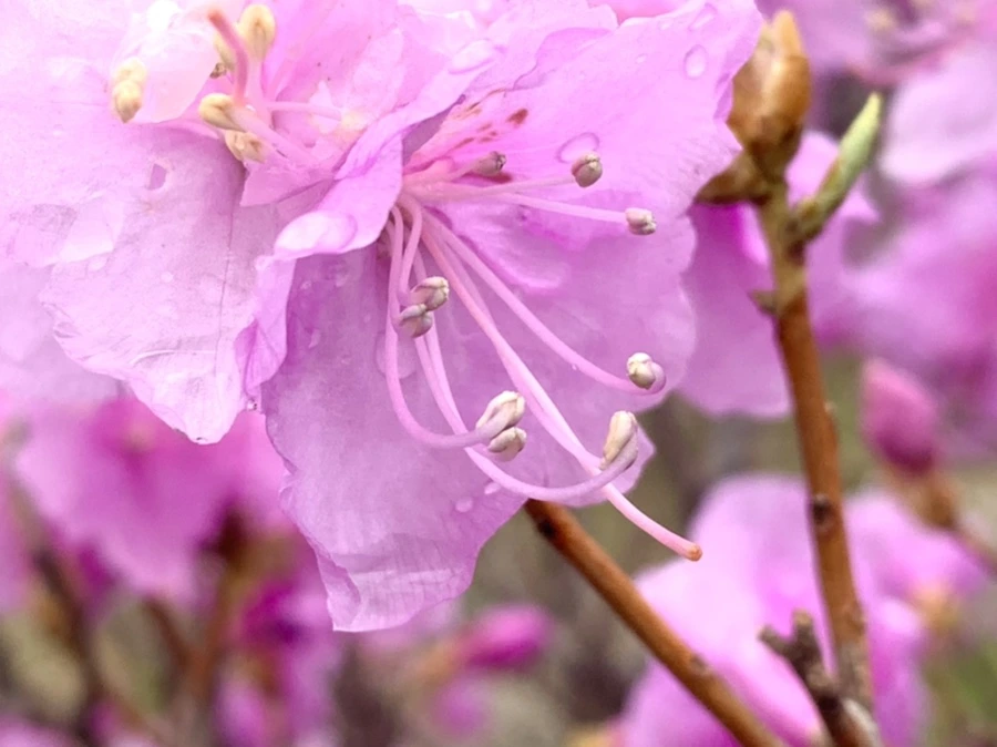 IMG_6133.jpg?type=w966