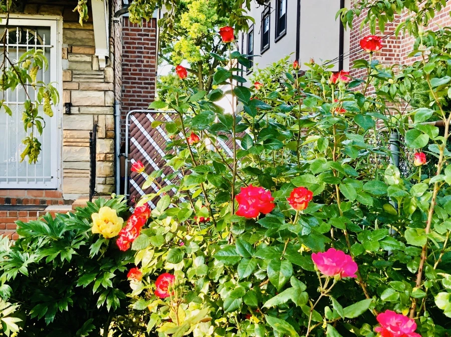 IMG_7987.jpg?type=w966