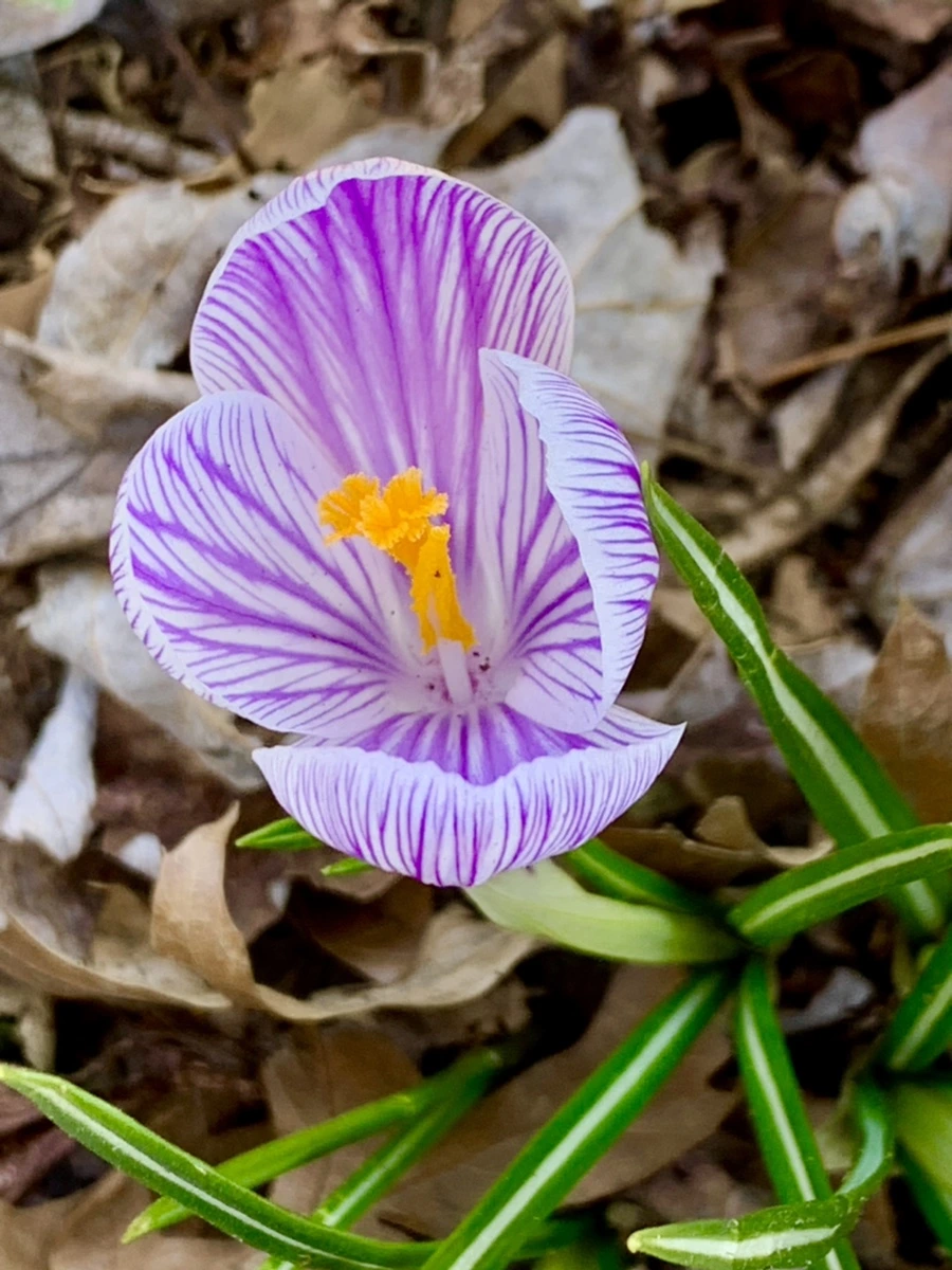 IMG_3286.jpg?type=w966