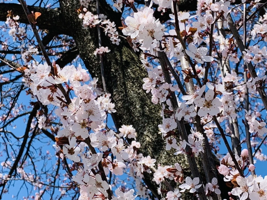 IMG_7684.jpg?type=w966