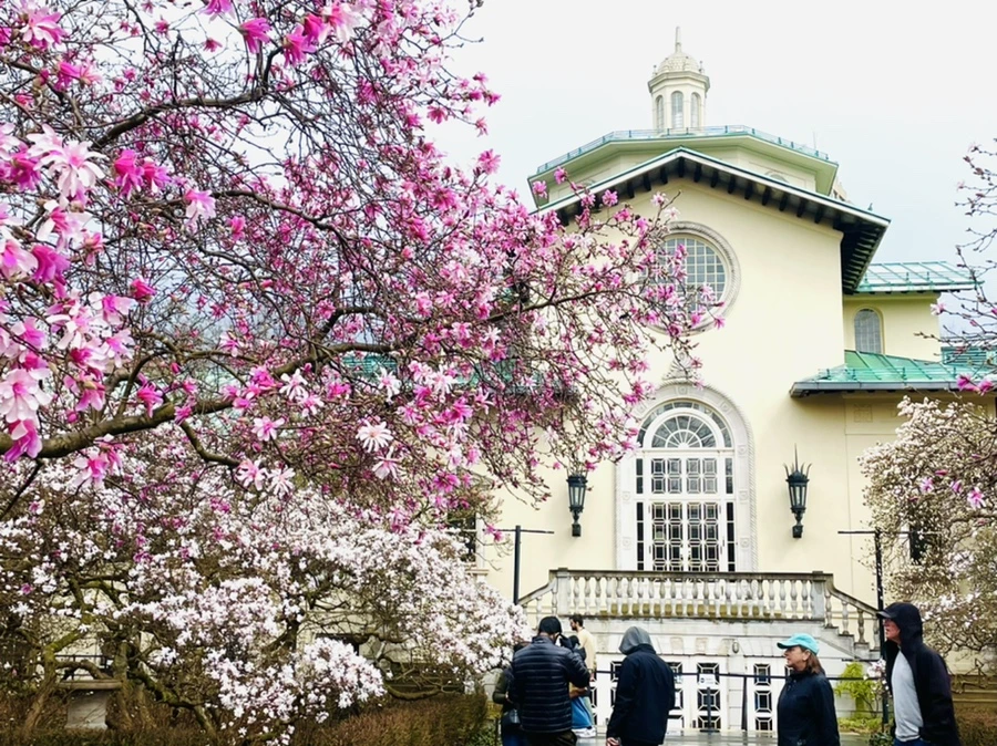 IMG_7387.jpg?type=w966