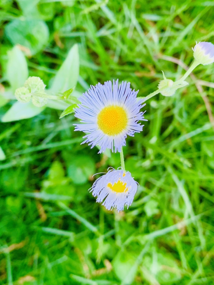 IMG_3430.jpg?type=w966