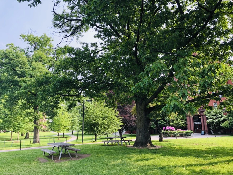 IMG_5417.jpg?type=w966