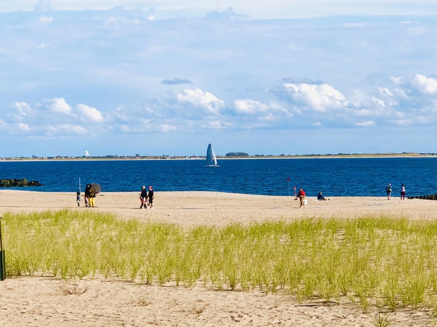 IMG_1380.jpg?type=w966