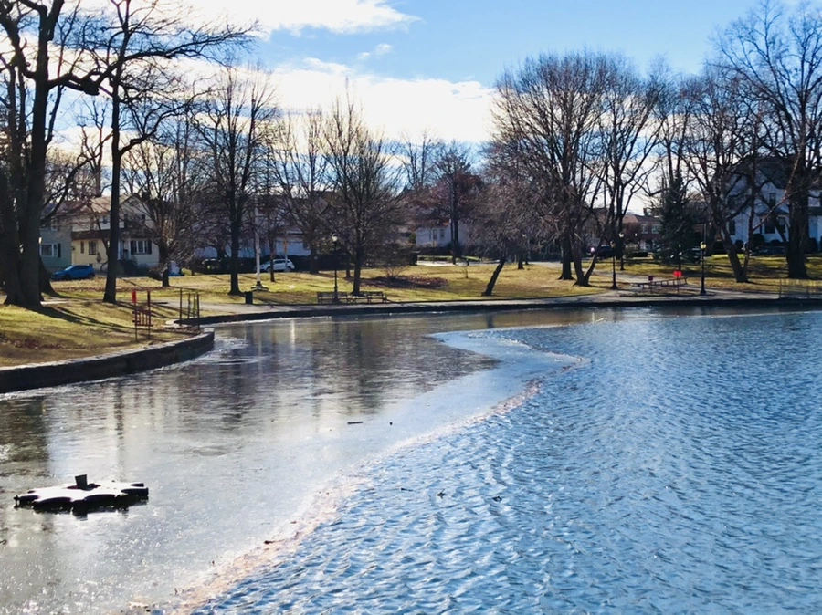 IMG_1207.jpg?type=w966