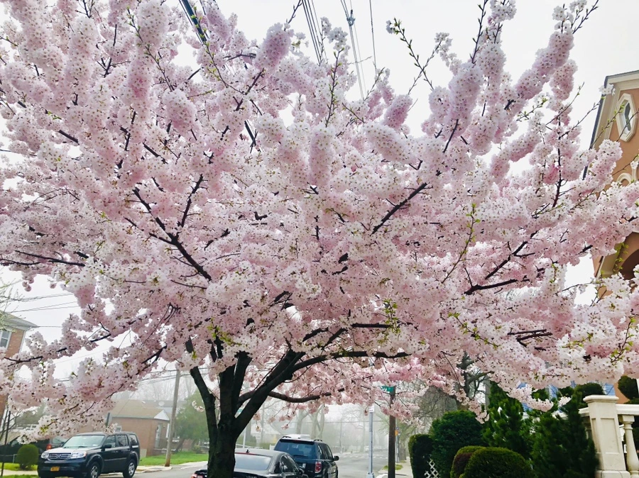 IMG_2926.jpg?type=w966