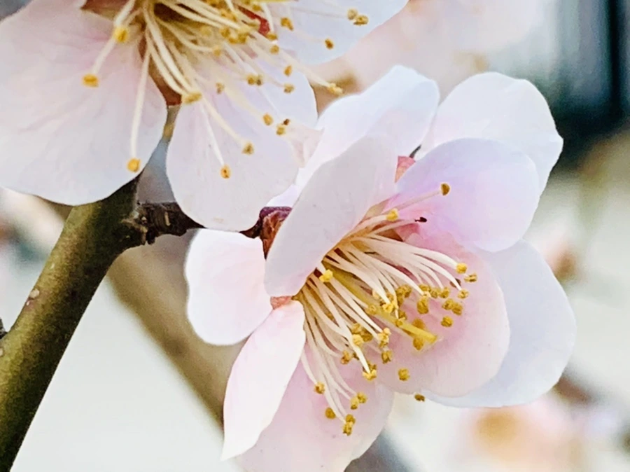 IMG_2279.jpg?type=w966