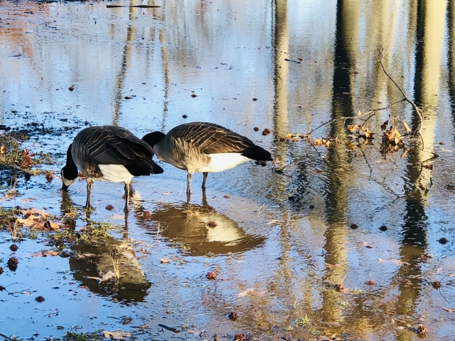 IMG_9280.jpg?type=w966