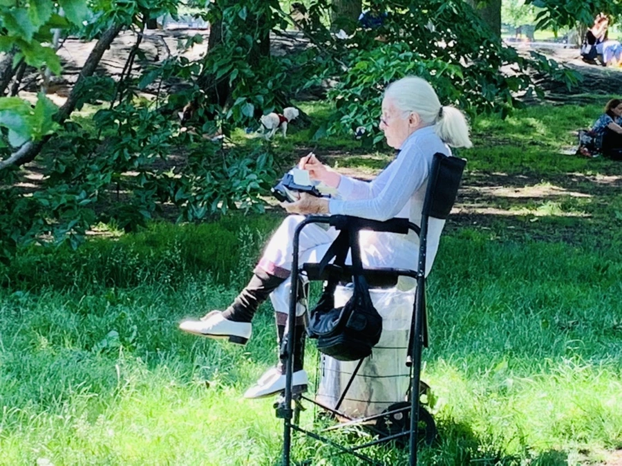 IMG_1019.jpg?type=w966