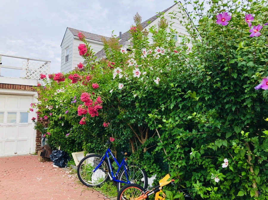 IMG_4157.jpg?type=w966