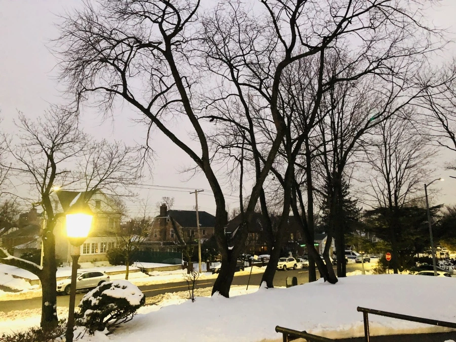 IMG_7549.jpg?type=w966