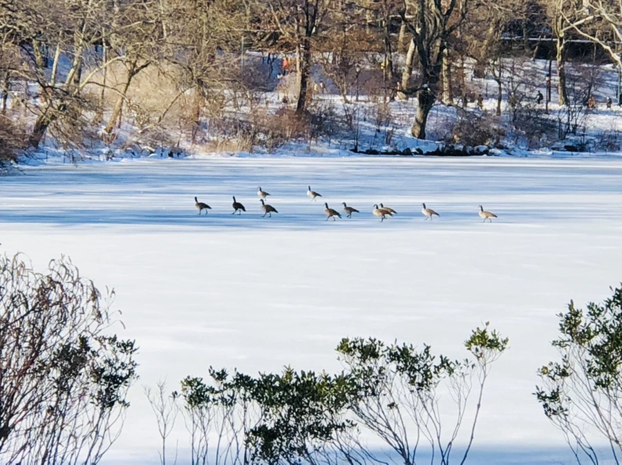 IMG_9839.jpg?type=w966