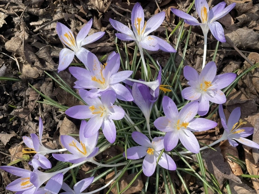 IMG_5330.jpg?type=w966