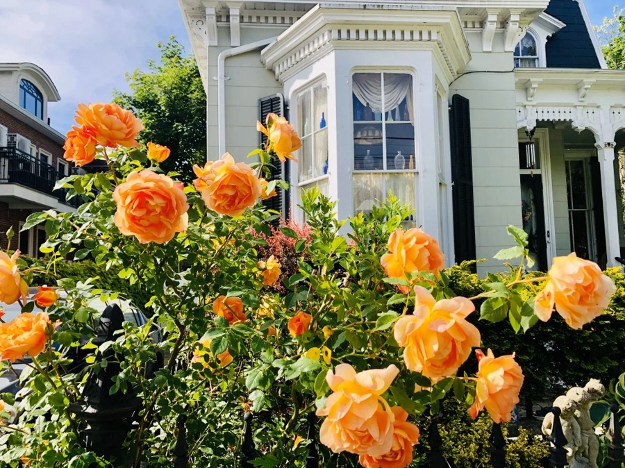 IMG_7486.jpg?type=w966