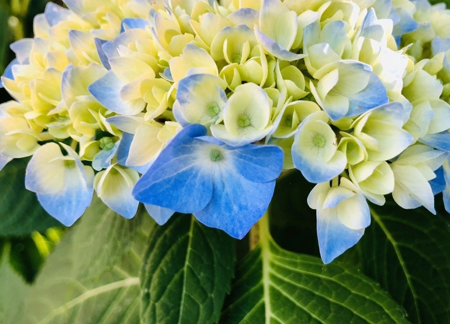 zmkBmXfzjw8XnlDEvvsRV1gb8Qk