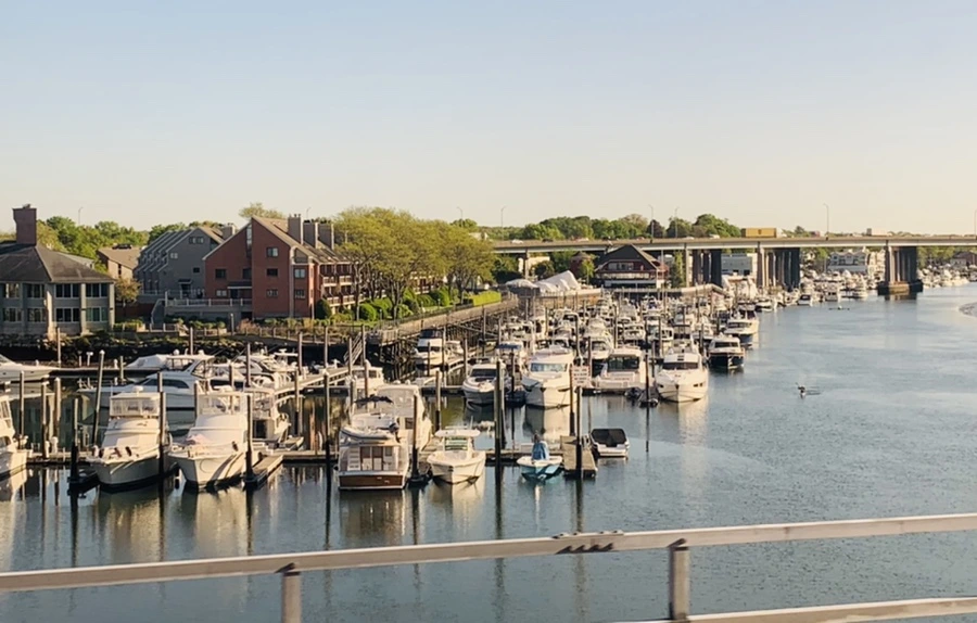 IMG_2260.jpg?type=w966