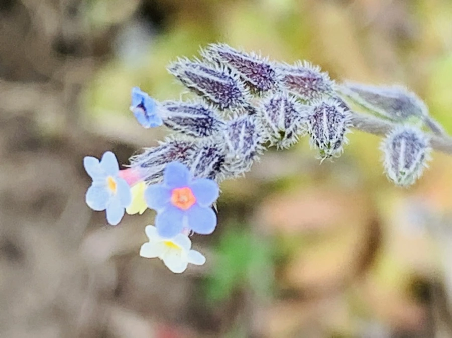 IMG_8668.jpg?type=w966