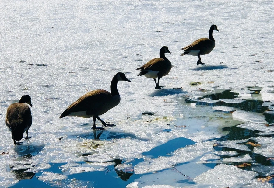 IMG_5074.jpg?type=w966