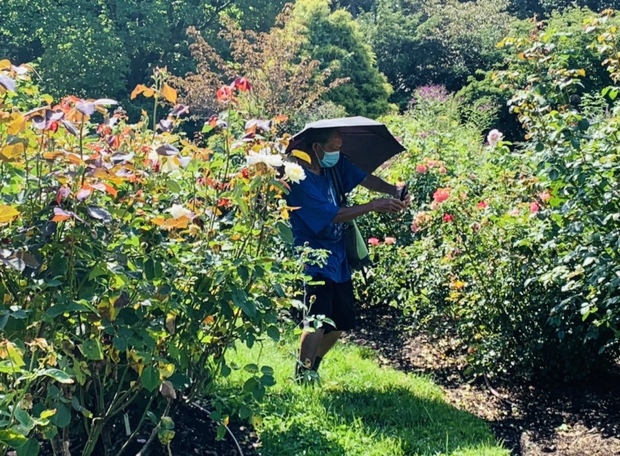 IMG_8401.jpg?type=w966