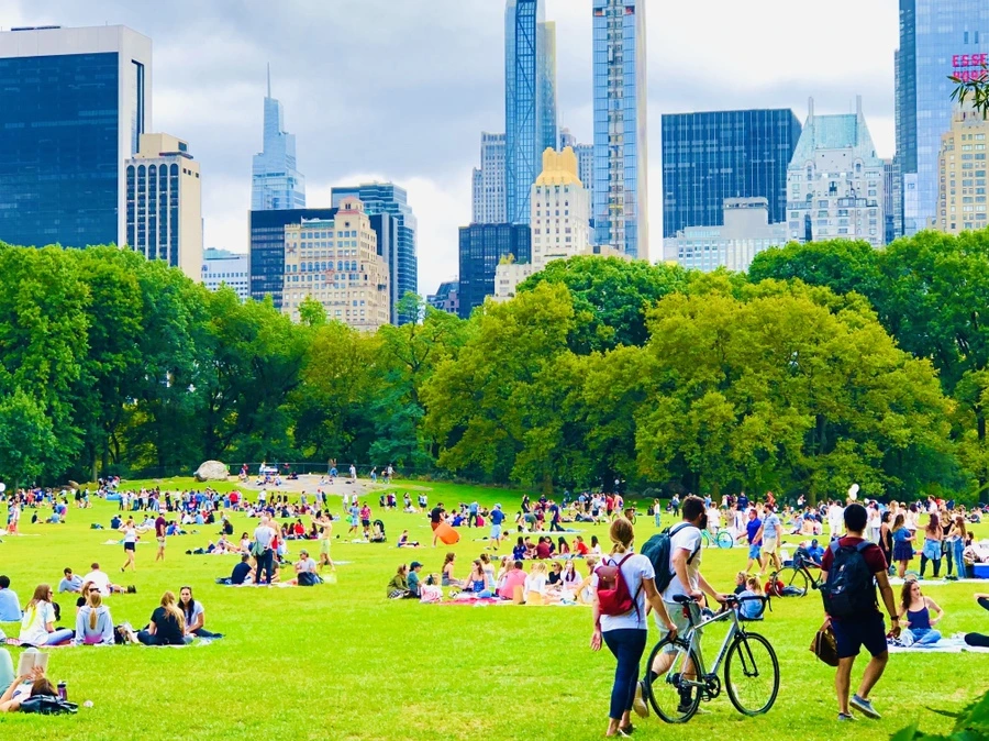 IMG_1053.jpg?type=w966