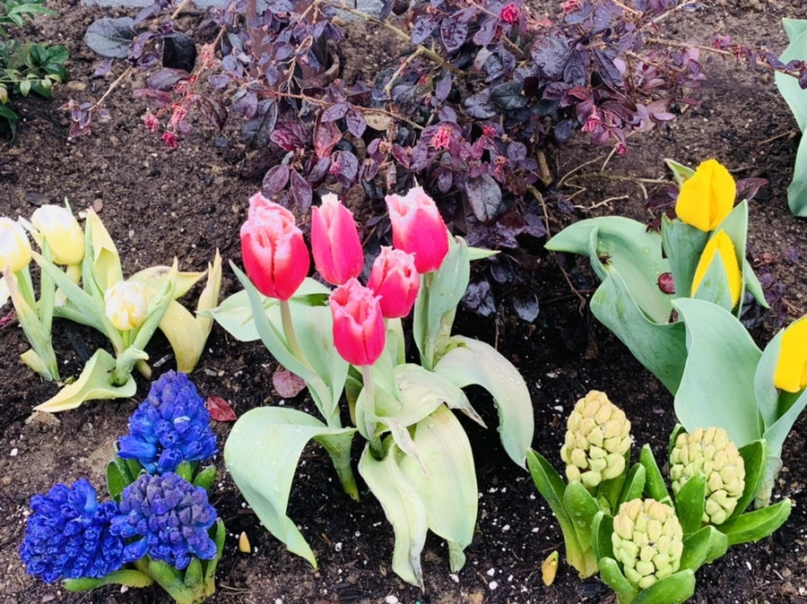 IMG_6185.jpg?type=w966