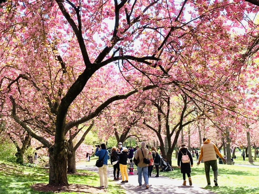 IMG_6423.jpg?type=w966