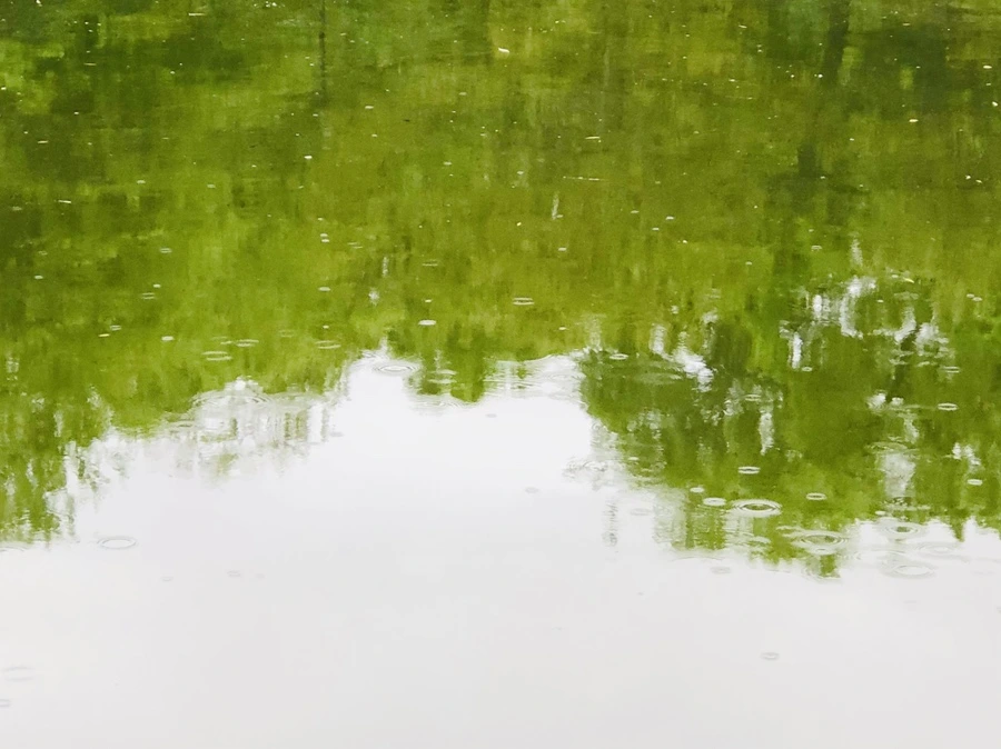 IMG_3223.jpg?type=w966