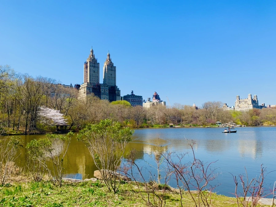 IMG_9001.jpg?type=w966