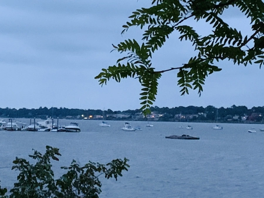 IMG_6684.jpg?type=w966