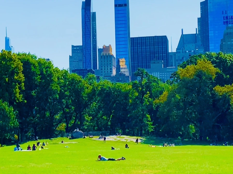 IMG_9682.jpg?type=w966