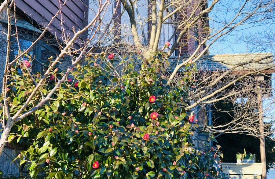 IMG_0321.jpg?type=w966