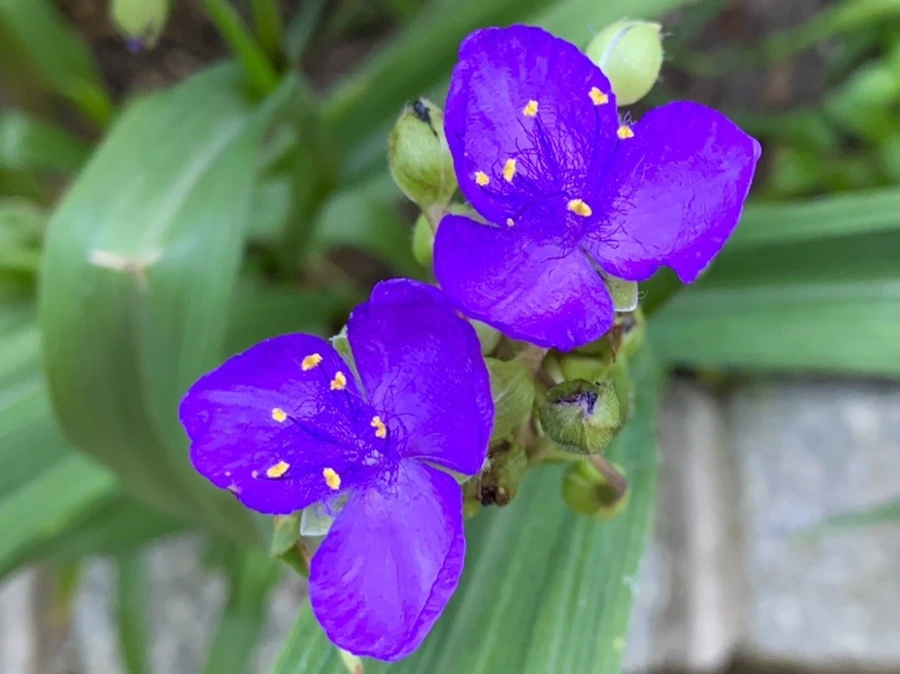 17cpr2h2qfBbHBD28sUA3pGXq5w