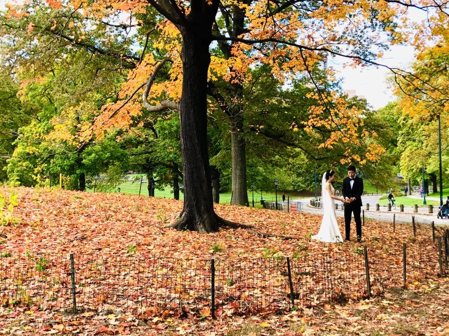 IMG_3034.jpg?type=w966