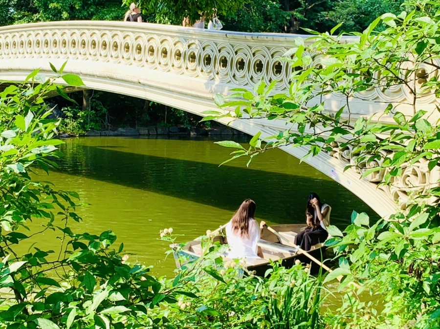 IMG_1740.jpg?type=w966