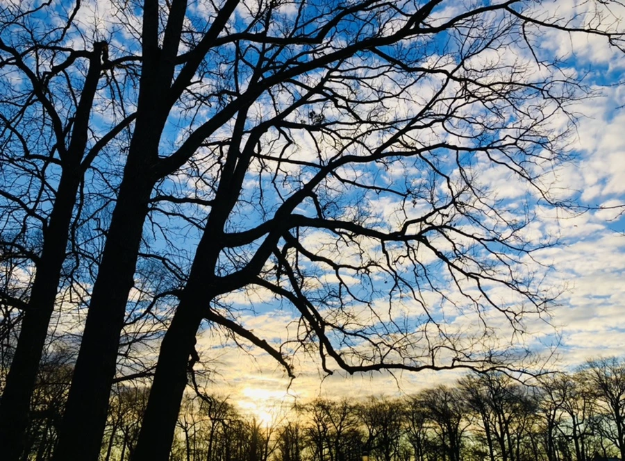 IMG_4886.jpg?type=w966