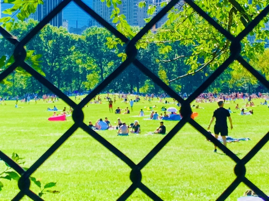 IMG_7660.jpg?type=w966