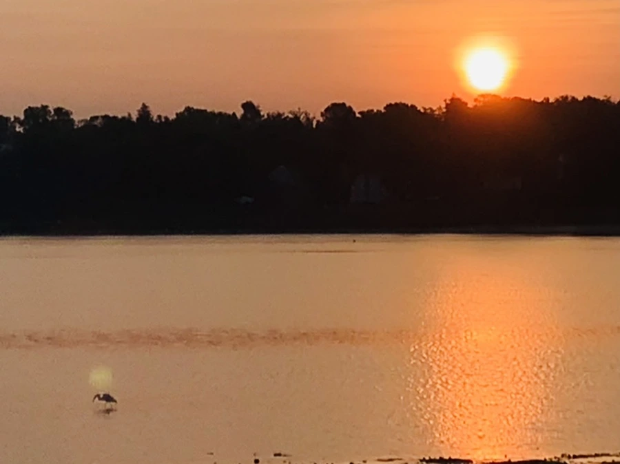 IMG_7727.jpg?type=w966